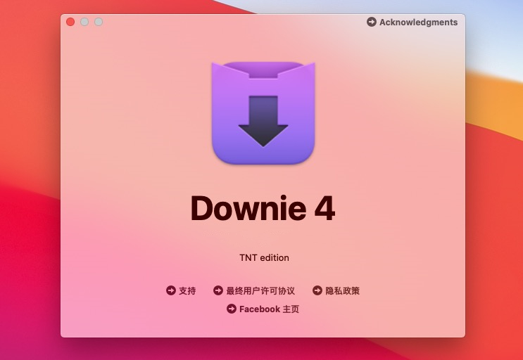 Downie 4